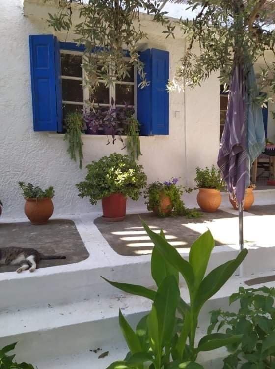 Stamoulis Apartments Kampos Marathokampou エクステリア 写真