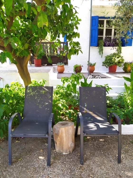 Stamoulis Apartments Kampos Marathokampou エクステリア 写真