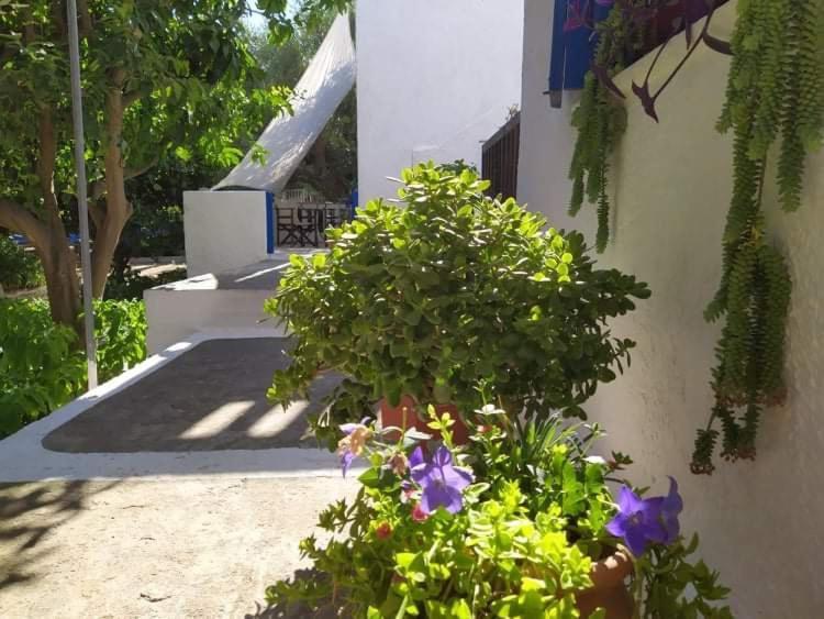 Stamoulis Apartments Kampos Marathokampou エクステリア 写真